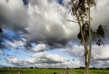 在线冲浪遇见广西圈聊天涯论坛，微天涯尽显桂柳情怀！