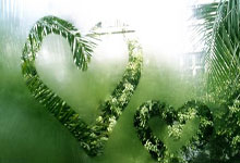 天涯社区iOS：老旧应用重构，当代人还能否找到网上老友？