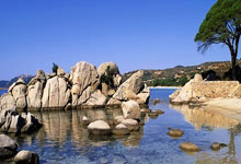 在线冲浪遇见广西圈聊天涯论坛，微天涯尽显桂柳情怀！